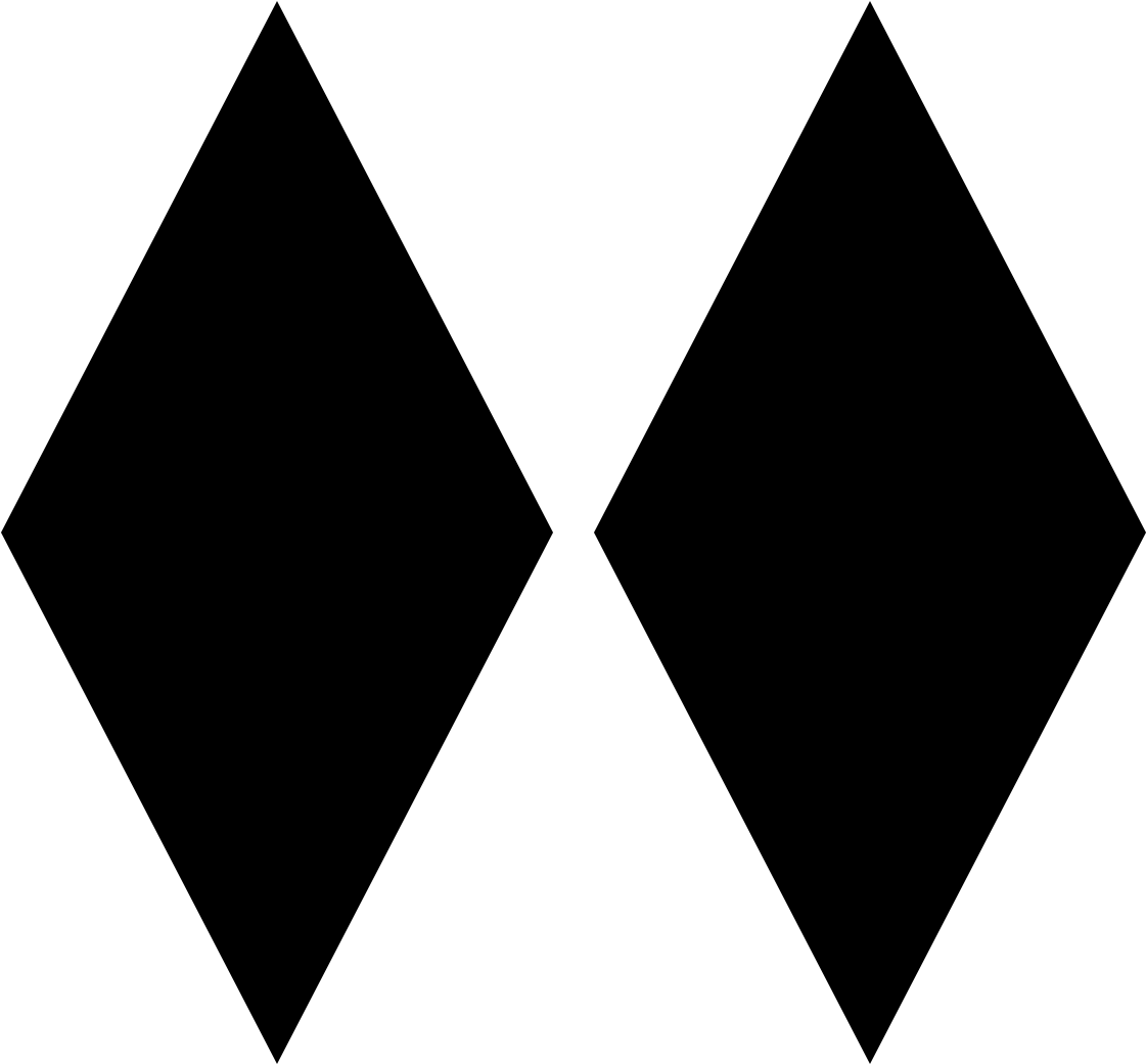 double-black-expert image Experts Only